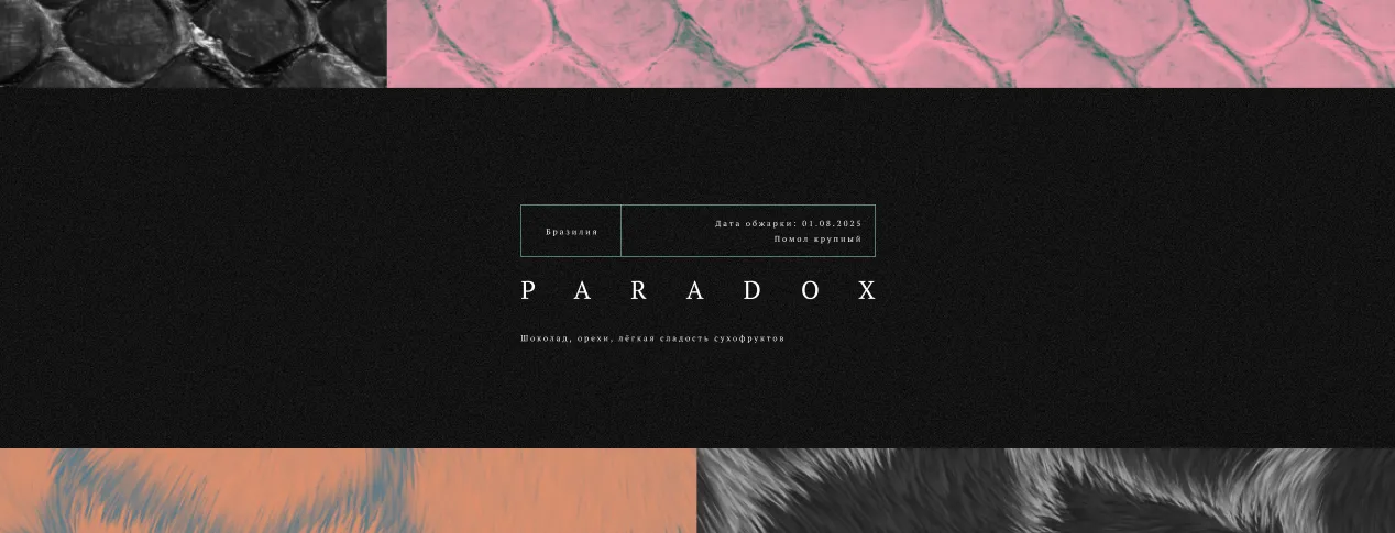 Paradox обложка